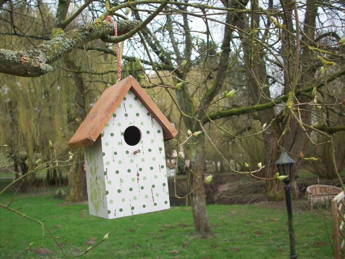 Moulin De Moxhe Micro Gite Et Gite - Bed & Dreams מראה חיצוני תמונה