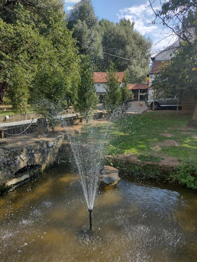Moulin De Moxhe Micro Gite Et Gite - Bed & Dreams מראה חיצוני תמונה